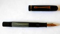 image for Pelikan 100